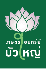 เกษตรอินทรีย์ บัวใหญ่